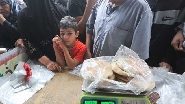 Thousands break into aid warehouses in Gaza as deaths top 8,000 - Vimarsana News