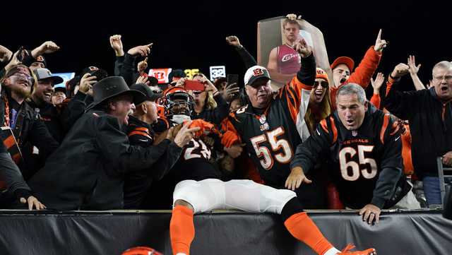 LIVE UPDATES: Bengals, Texans battle it out in week 10 matchup at Paycor Stadium - Vimarsana News