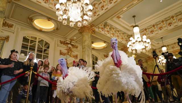 President Joe Biden is spending part of his 81st birthday observing the White House tradition of pardoning Thanksgiving turkeys - Vimarsana News