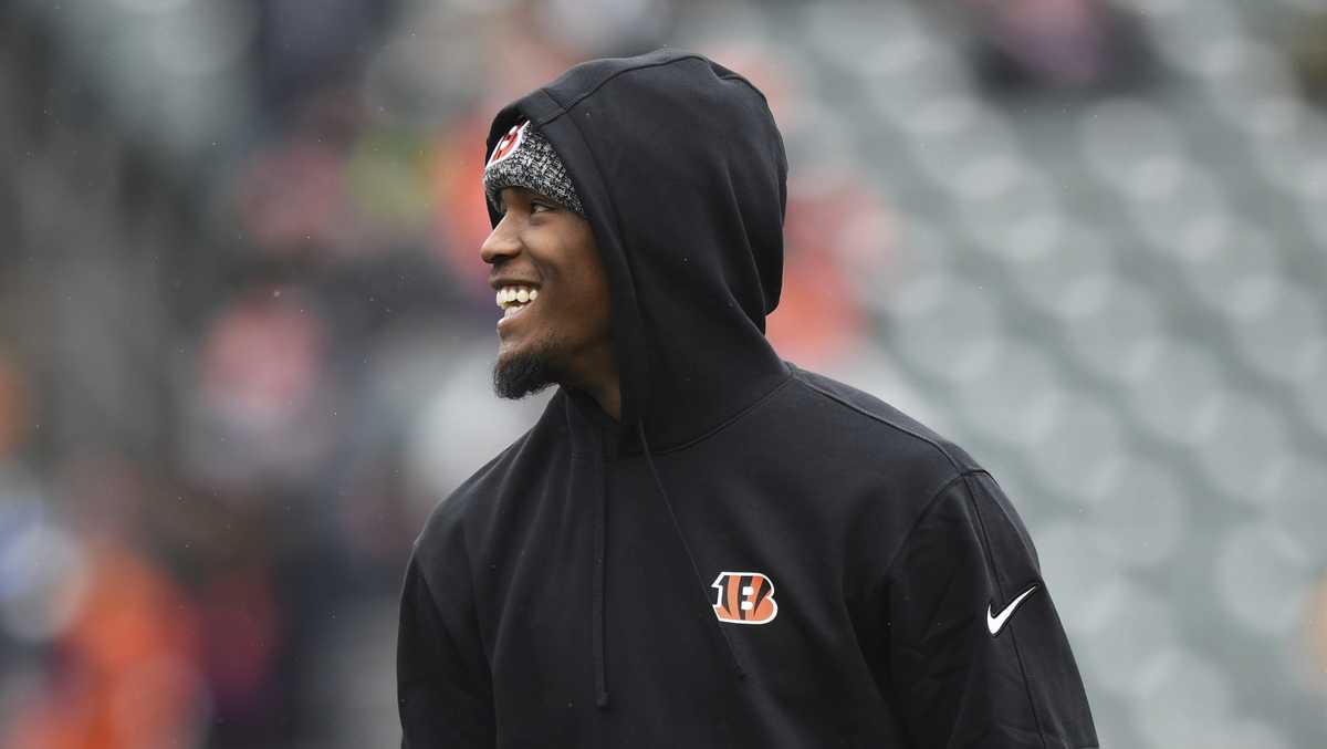 Bengals' WR Tee Higgins, LB Logan Wilson set to return Monday night vs ...