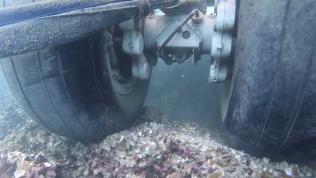 Divers right 180 coral colonies toppled by US spy plane in Hawaii - Vimarsana News