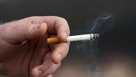 cigarette