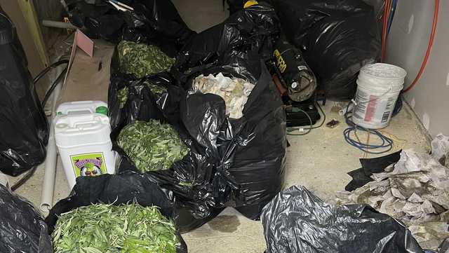 Federal charges filed in illegal Maine marijuana grow - Vimarsana News