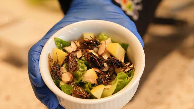 Would you like a cicada salad? They're on a New Orleans menu - Vimarsana News