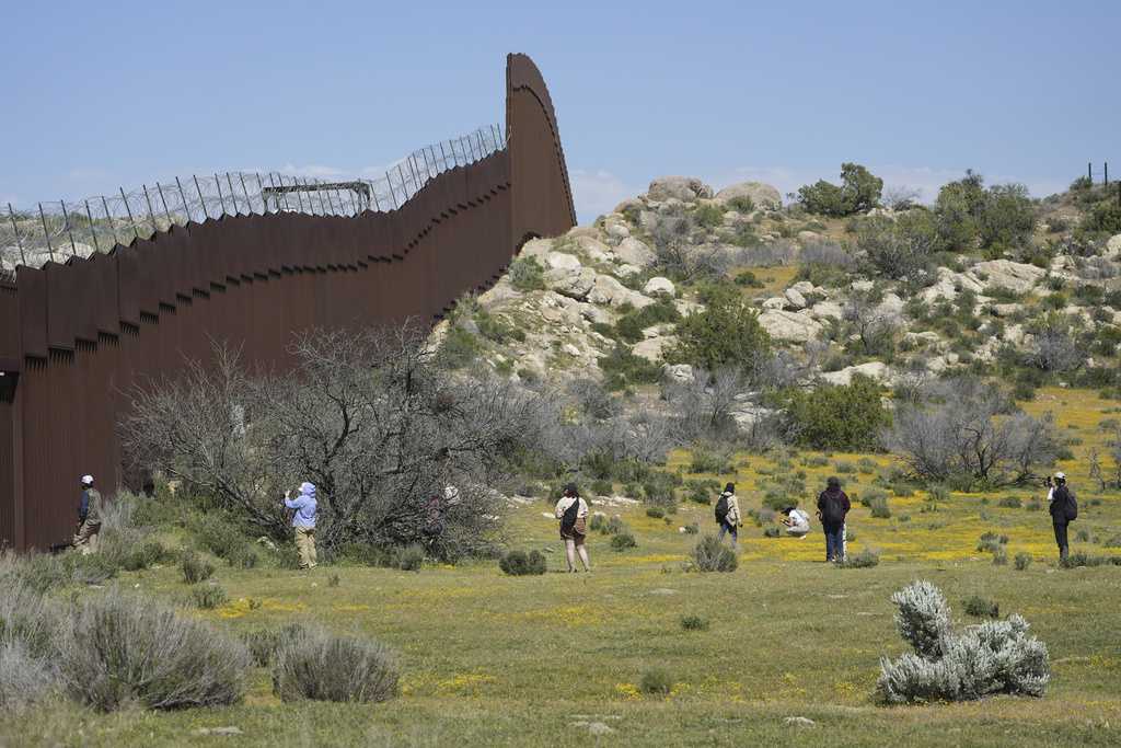 Botanists are scouring the US-Mexico border to document a forgotten ecosystem split by a giant wall