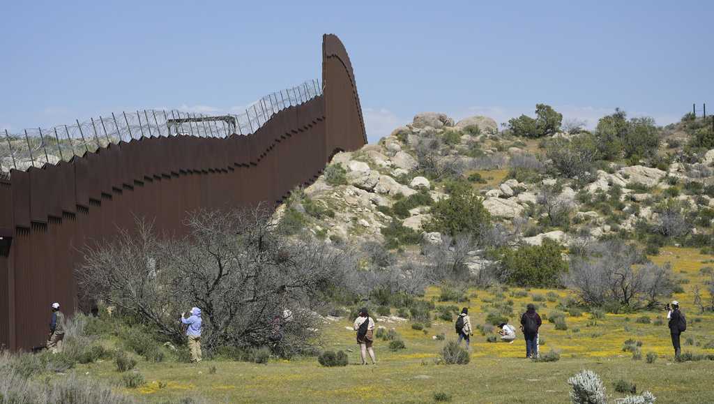 Botanists and citizen scientists armed with the iNaturalist app on their smartphones are recording the biodiversity along the U.S.-Mexico border - Vimarsana News