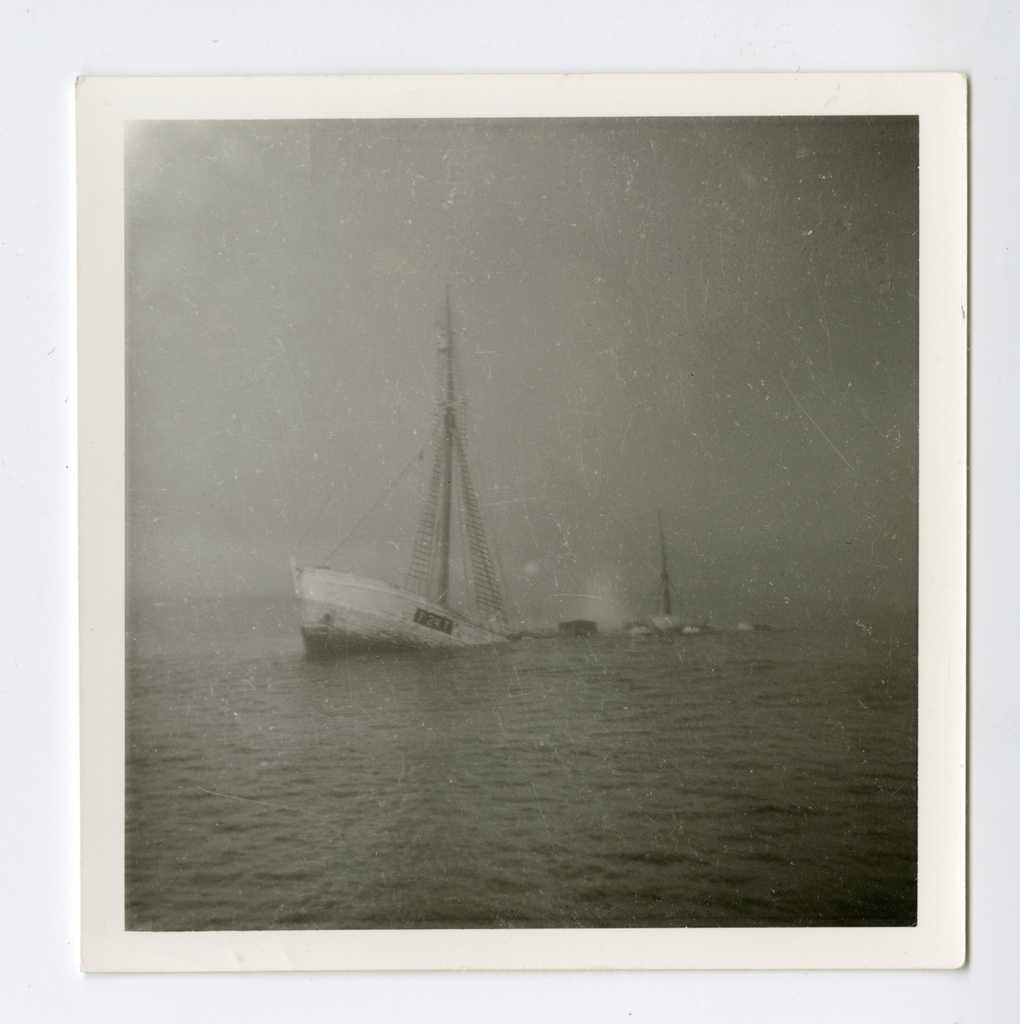Jane W. Shackleton: Pioneering Photographer and Unsung Hero