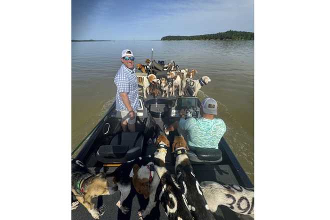 38 dogs nearly drown on a Mississippi lake, saved by passing boat