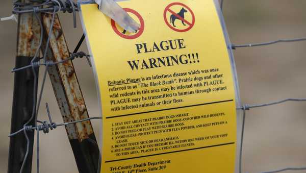 FILE - In this Aug. 10, 2019 file photo, a sign warning of bubonic plague is displayed at a parking lot near the Rocky Mountain Arsenal Wildlife Refuge in Commerce City, Colo. The bacteria which causes the disease is transmitted through the bites of infected fleas, which spread it between rodents, pets and humans. (AP Photo/David Zalubowski)