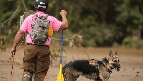 A search and rescue dog and handler searches for victims in deep mud in the aftermath of Hurricane Helene, Tuesday, Oct. 1, 2024, in Swannanoa, N.C. (AP Photo/Mike Stewart)