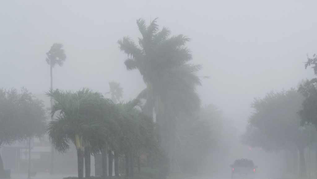 Florida moms deliver bundles of joy during Hurricane Milton