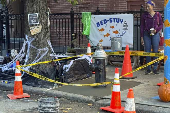 Cinta amarilla rodea una boca de incendios que alguna vez tuvo una fuga y que se ha convertido en un estanque temporal de peces de colores en un acuario y que ahora la ciudad llena con concreto, en Brooklyn, Nueva York, el viernes 25 de octubre de 2024. (Foto AP/Cedro Attanasio)