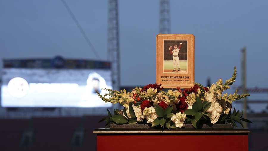 Baseball fans line up to pay their respects to Cincinnati Reds legend Pete Rose during a public visitation, Sunday, Nov. 10, 2024, at Great American Ball Park in Cincinnati. (AP Photo/Kareem Elgazzar)