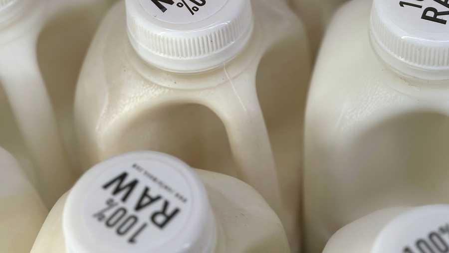 FILE - Bottles of raw milk are displayed for sale at a store in Temecula, Calif., on Wednesday, May 8, 2024.  (AP Photo/JoNel Aleccia, file)