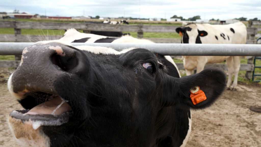 First human hen flu case confirmed in Stanislaus County