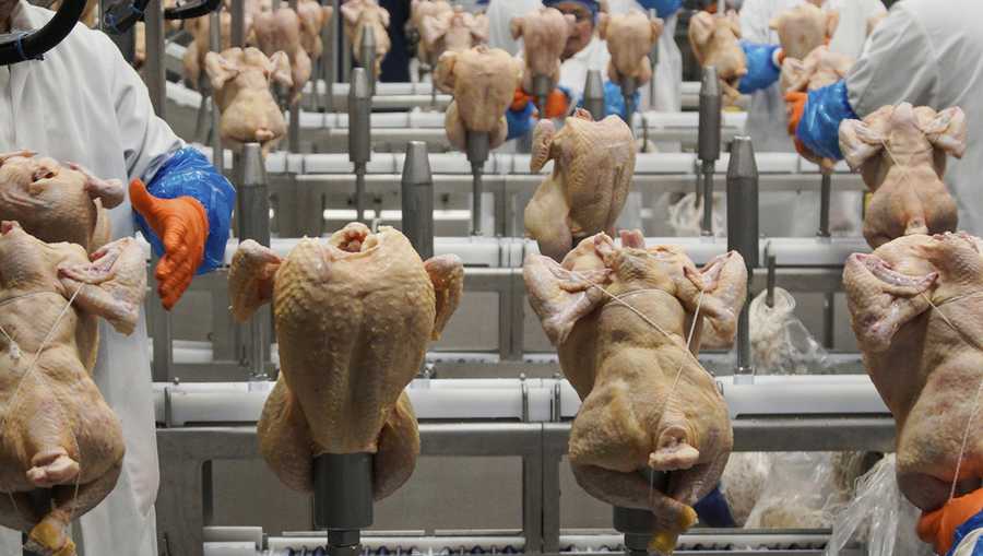 FILE - Workers process chickens at a poultry plant in Fremont, Neb., on Dec. 12, 2019. (AP Photo/Nati Harnik, File)