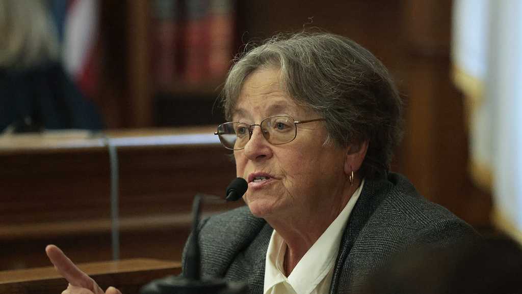 Karen Read Murder Trial Defense Dog Bite Expert Testifies