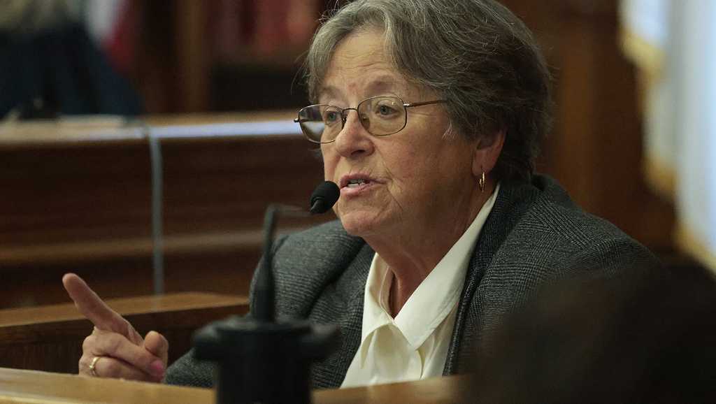 Karen Read Murder Trial Defense Dog Bite Expert Testifies