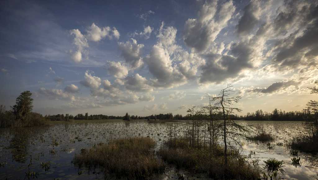 Birmingham company's mining project near Georgia wildlife refuge stalls over $2M permit requirement