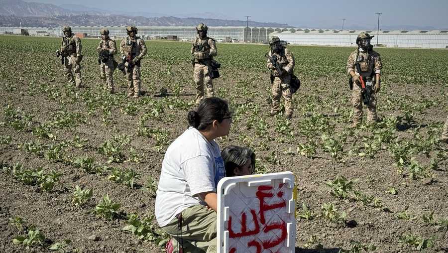 1.2 million immigrants are gone from the US labor force under Trump ...