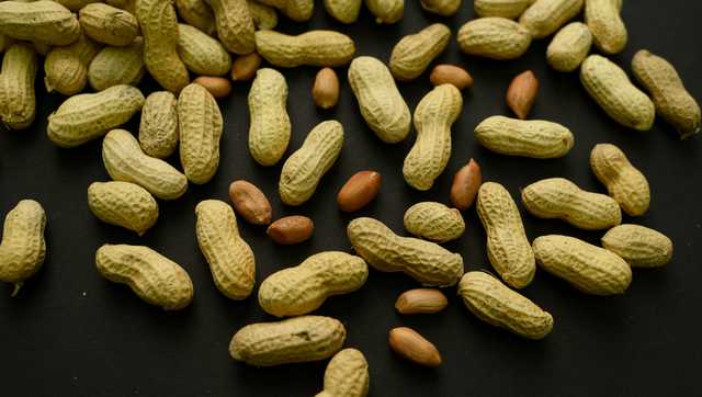 Advice to feed babies peanuts early and often helped 60,000 kids avoid allergies, study finds