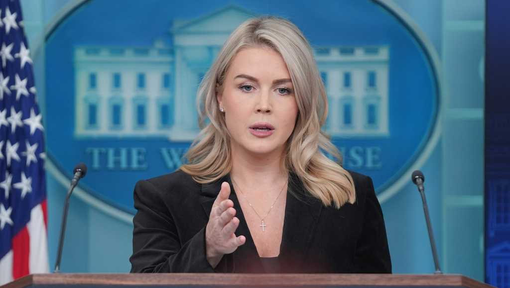 Woman with family connection to White House press secretary arrested by ICE