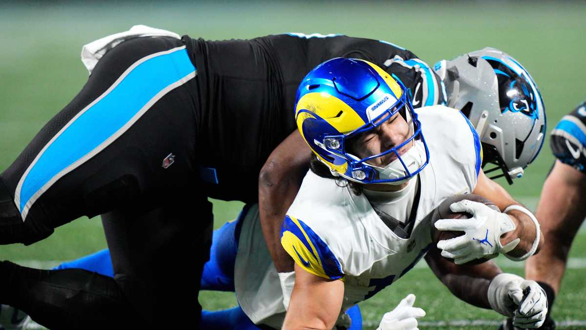 Panthers playoff run ends after loss to Rams