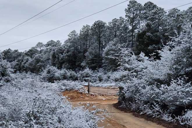 It snowed in Florida, again | See photos and video