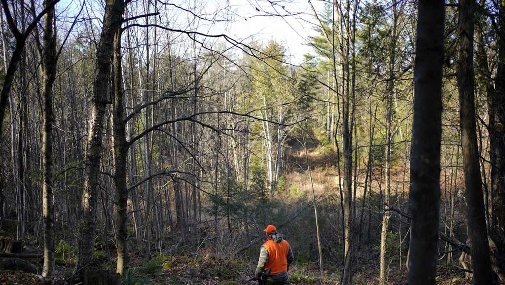 Mass. governor backs hunting expansion, including on Sundays