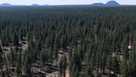 Forest Service HQ moving to Utah under Trump overhaul