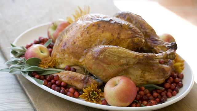 Thanksgiving turkey tips -- how to roast the perfect bird - Vimarsana News