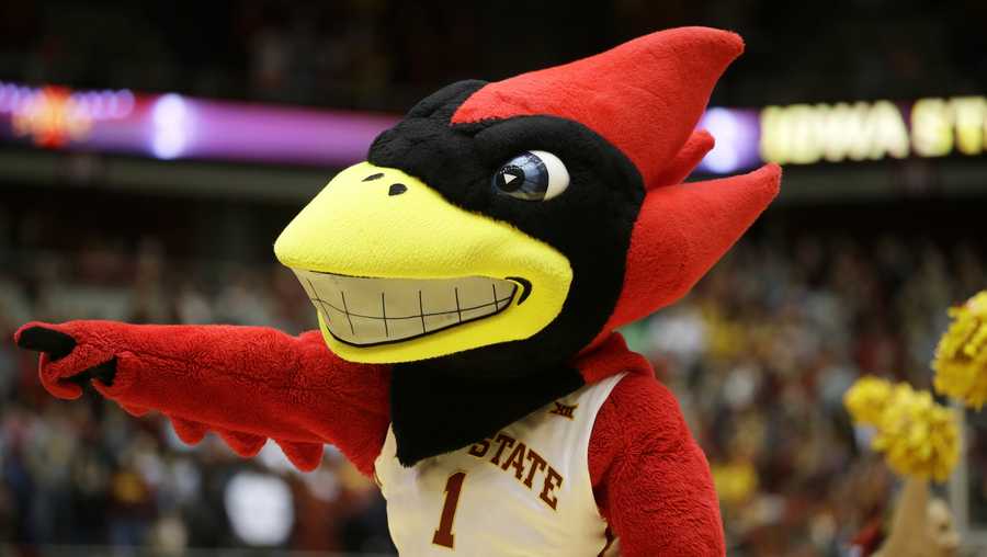 Iowa State mascot Cy is seen on the court before an NCAA college basketball game against Texas, Saturday, Feb. 13, 2016, in Ames, Iowa. (AP Photo/Charlie Neibergall)