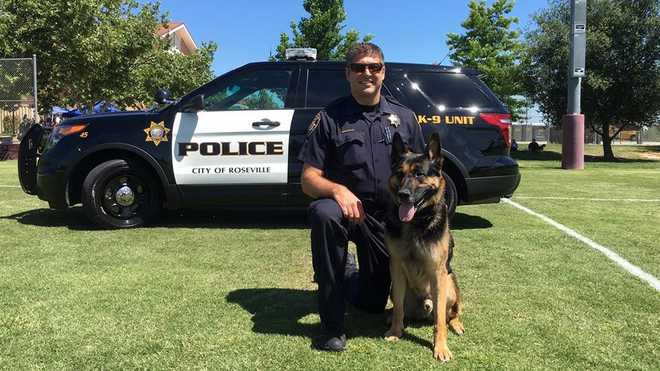 Roseville Police K-9 Dies Unexpectedly, Served 10 Years