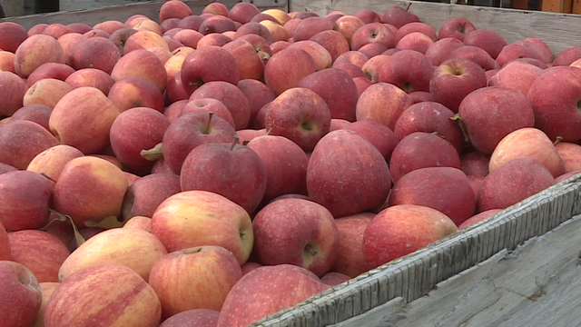 State funding helps apple farmers recover after freezes - Vimarsana News