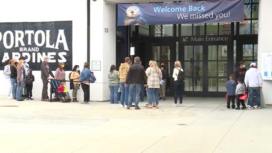 monterey bay aquarium reopening means more business for cannery row!