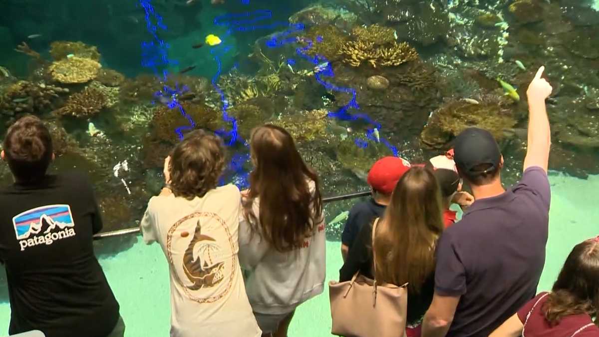Field Trip Fridays to offer summer experiences for city students