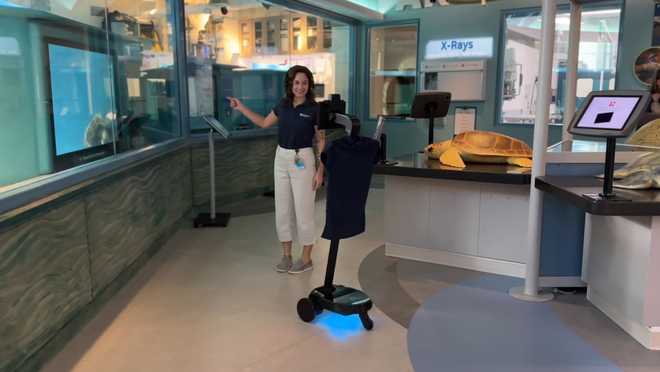 South Carolina Aquarium Virtual Tour Robot
