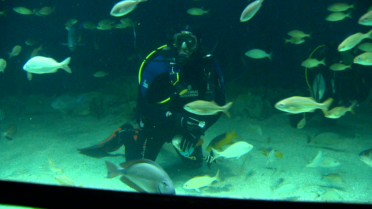 Volunteer scuba diver hopes to inspire others