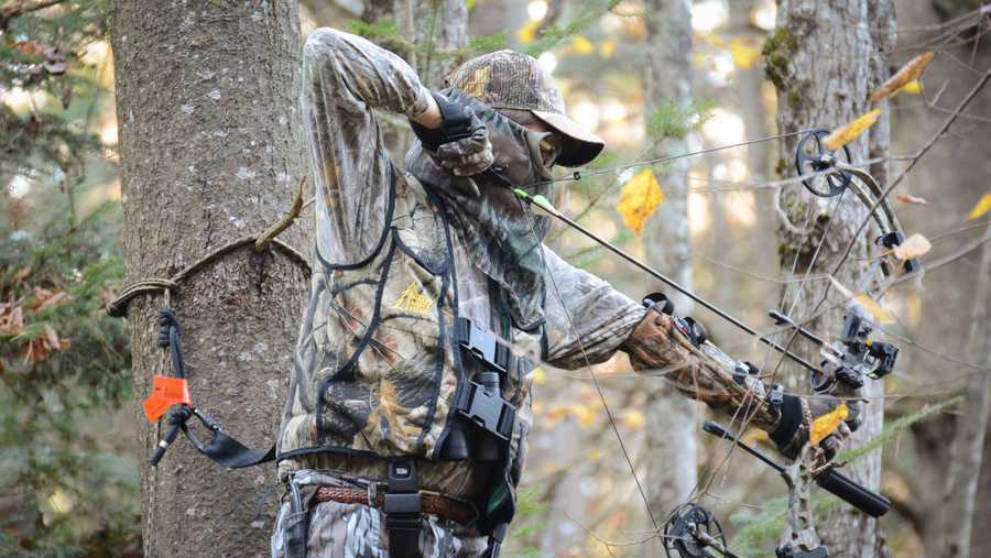 Vermont's archery deer season slated to begin next month