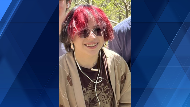 Pittsburgh police searching for missing teen - Vimarsana News