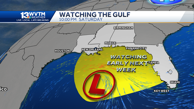 Development of the tropical Gulf