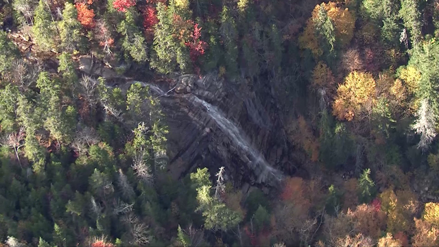 New England foliage forecast: Where to find peak colors over this holiday weekend - Vimarsana News