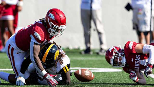 Arkansas Razorback