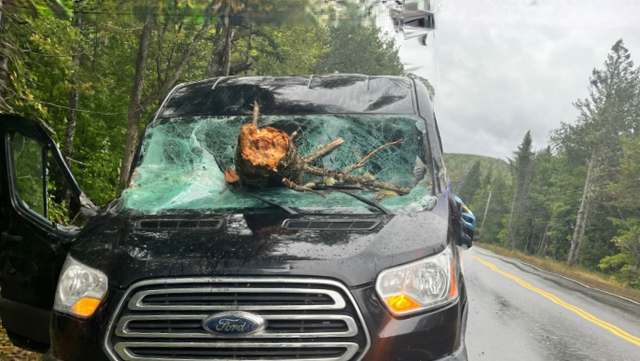 Tree smashes through van carrying 6 people in Maine during Lee - Vimarsana News