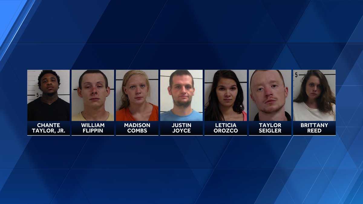 Seven people arrested after drugs found in Surry County