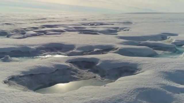 Art is a climate change conversation starter at PMA - Vimarsana News