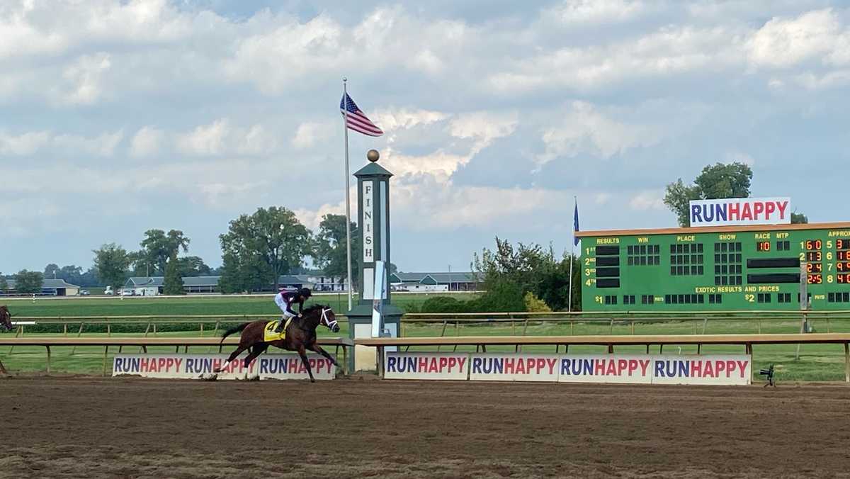 Art Collector wins Ellis Park Derby, earns Kentucky Derby points