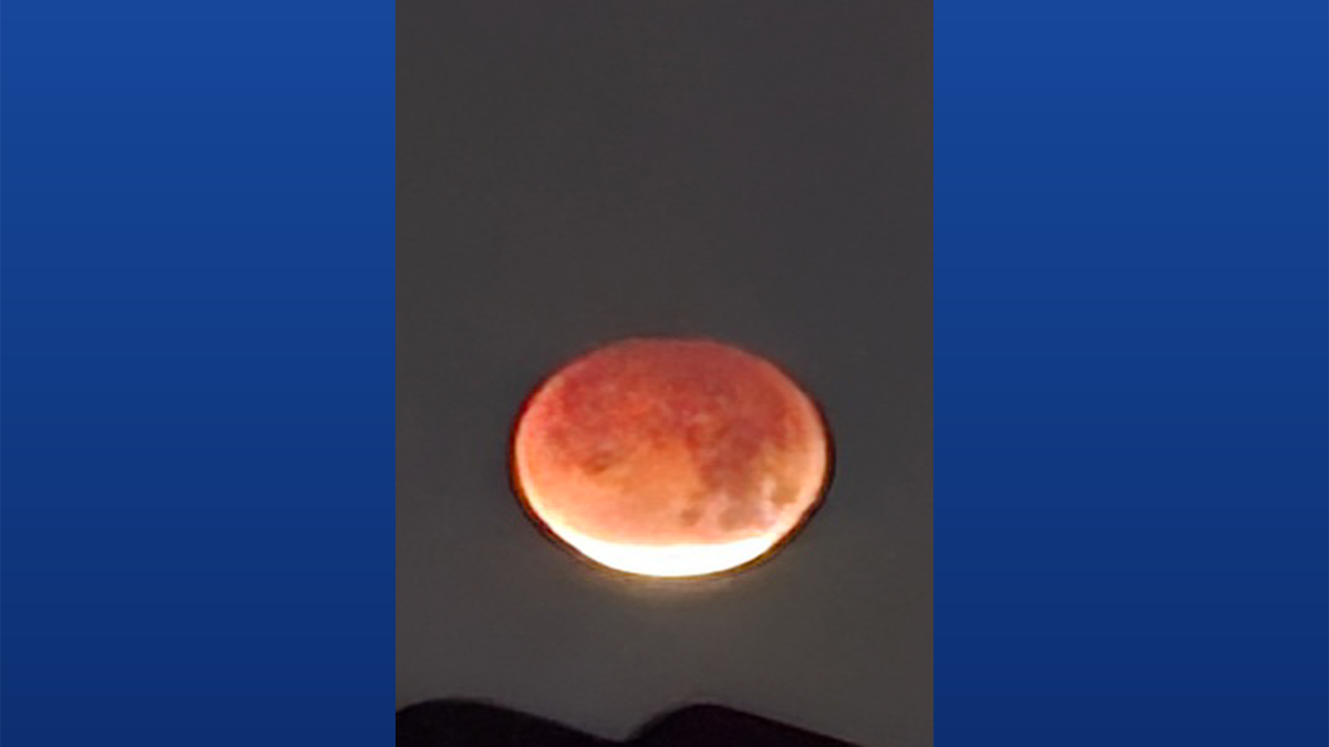 Photo Gallery: Total Lunar Eclipse over South Florida | March 3, 2026