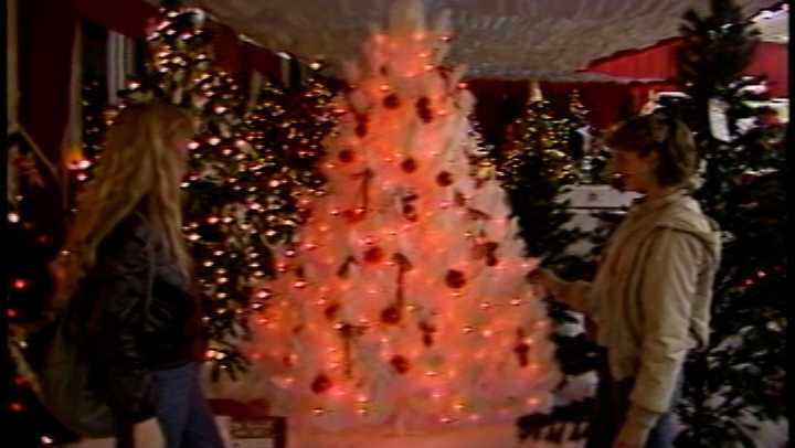 Artificial Tree vs. Real Tree: The debate that's lasted decades