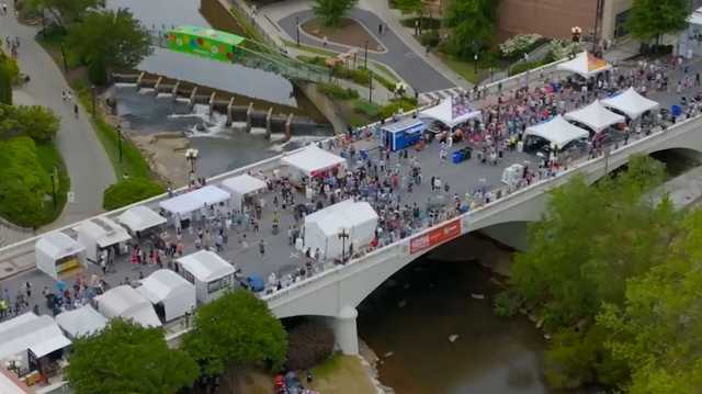 South Carolina: Prestigious art festival returns for 19th year - Vimarsana News